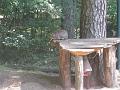 Zoo Cottbus 017